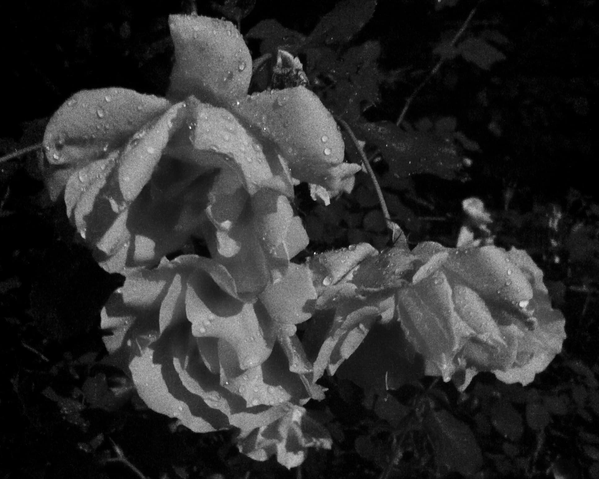Photography 01